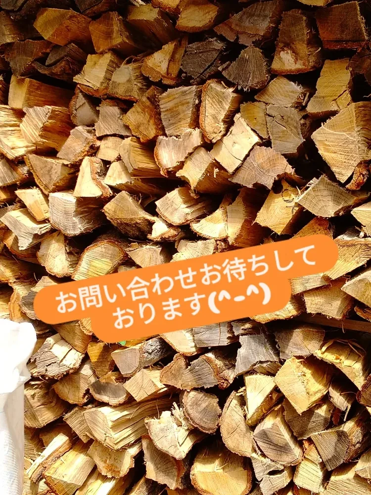 画像14436