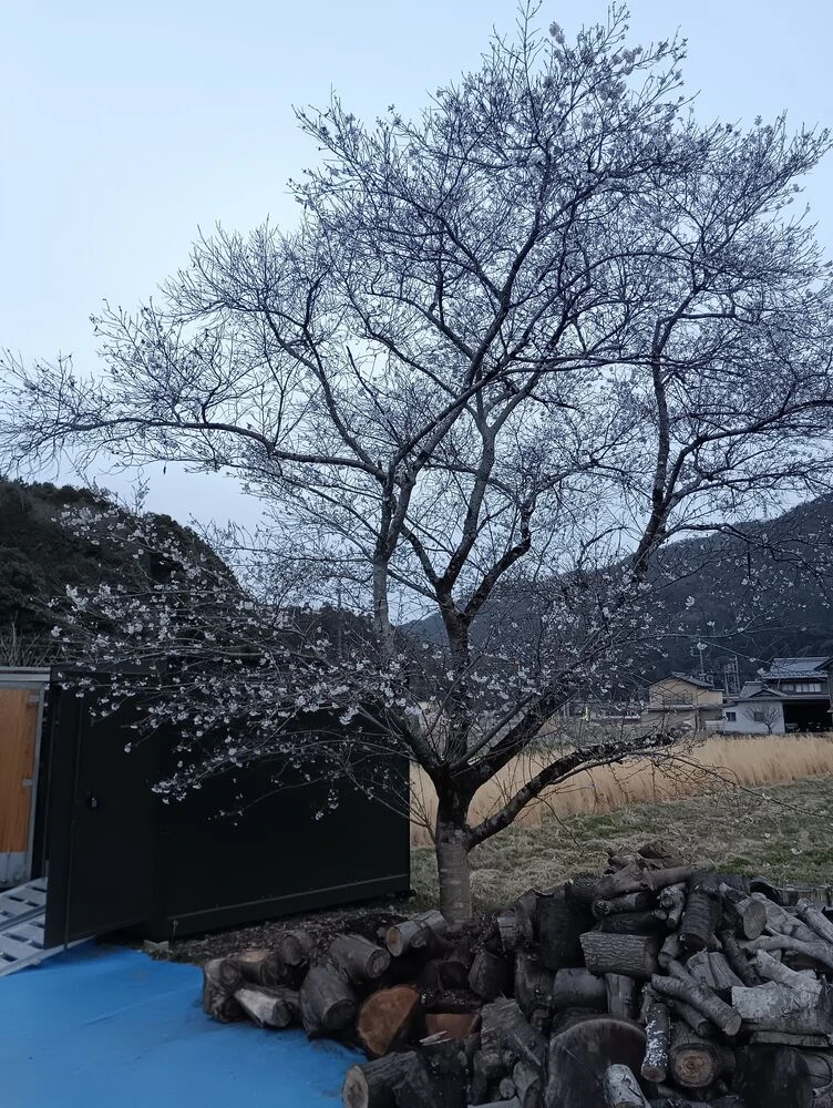 画像15460
