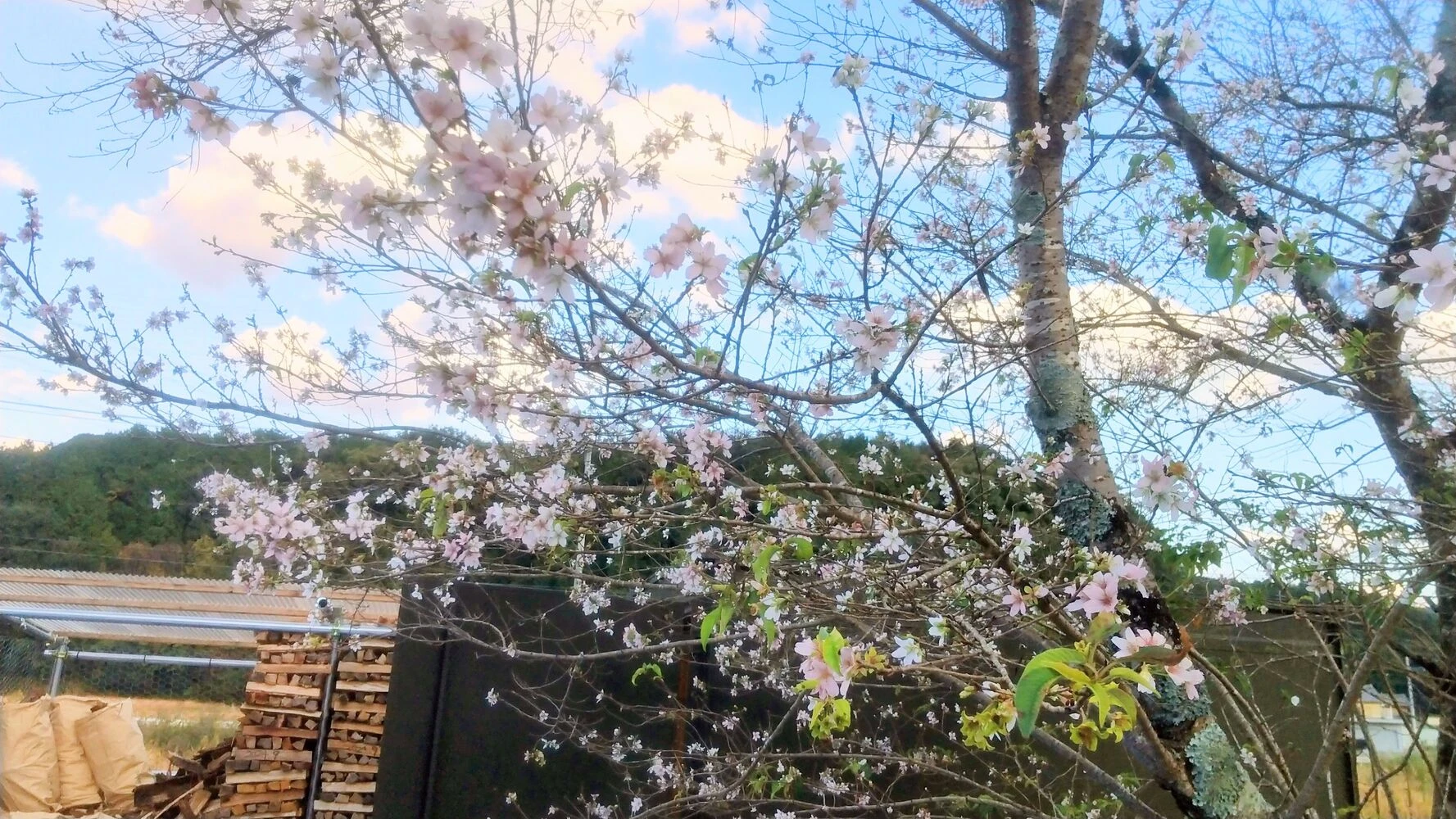 画像15720