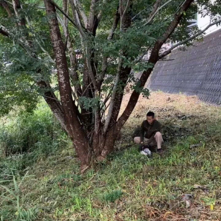ブログ