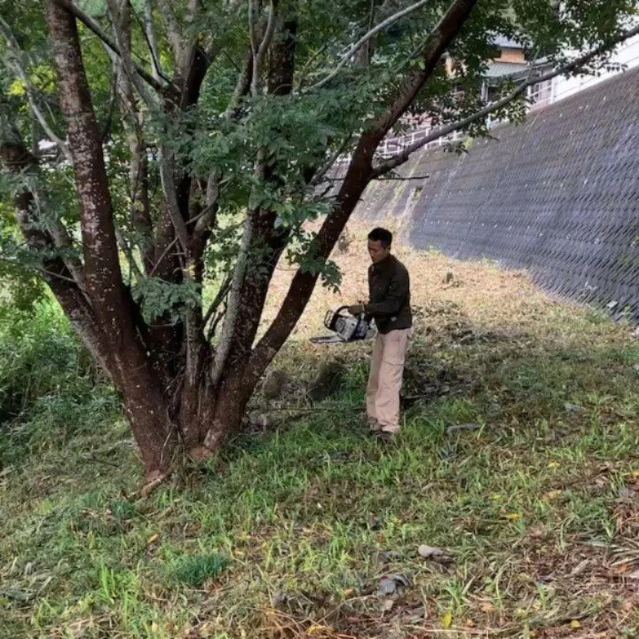 ブログ